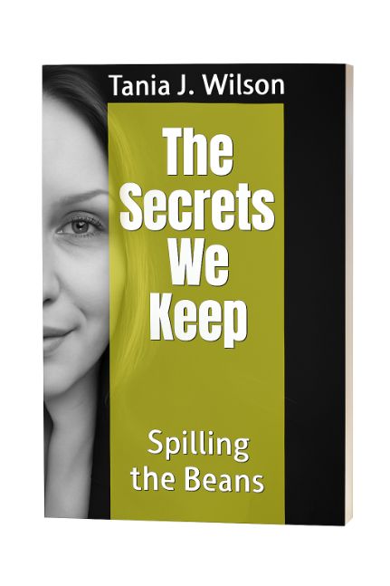 The Secrets We Keep Book Cover